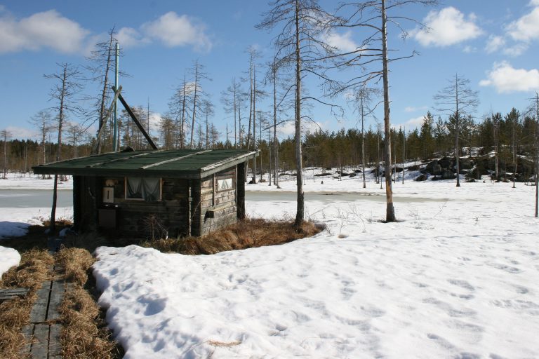 Hide 1 in winter