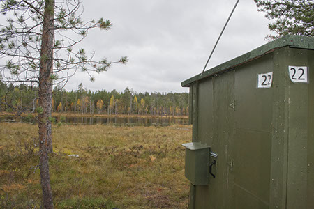 Hide 22 in forest with a view of swamp