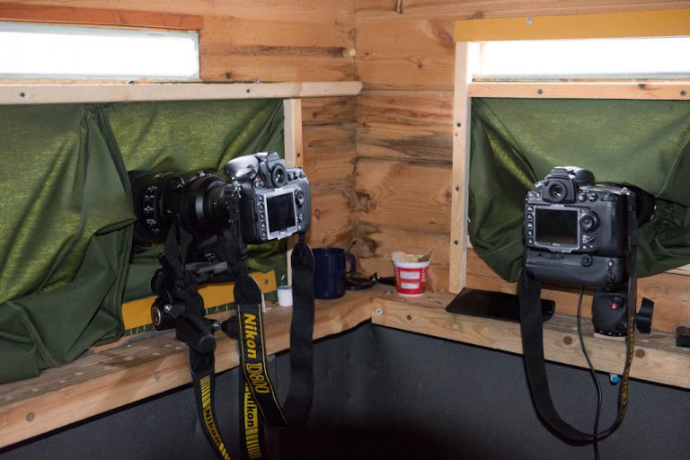 Inside photography hide, shows cameras mounted in place